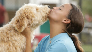 carers at pet paradise close to me