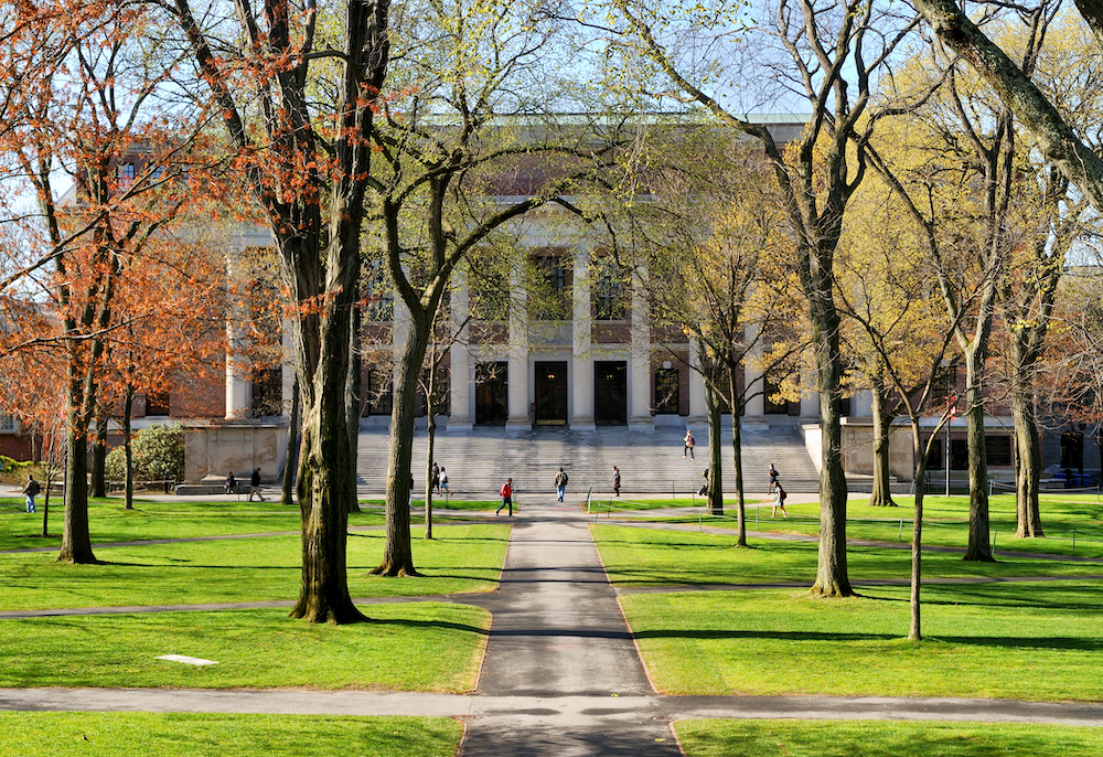 College Campus in the Spring